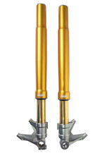 Ohlins 23-25 Harley-Davidson American V-Twin 48mm Gold Front Fork - FGRT 308 Photo - Primary