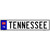 Tennessee Novelty Metal European License Plate