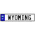 Wyoming Novelty Metal European License Plate