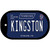 Kingston Tennessee Blue Novelty Metal Dog Tag Necklace