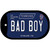 Bad Boy Tennessee Blue Novelty Metal Dog Tag Necklace