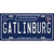 Gatlinburg Tennessee Blue Novelty Metal License Plate Tag