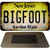 Bigfoot New Jersey Novelty Metal Magnet