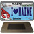 I Heart Maine Lobster Novelty Metal Magnet