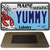 Yummy Maine Lobster Novelty Metal Magnet