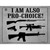Im Also Pro-Choice Novelty Rectangle Sticker Decal