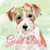 Jack Russell Good Dog Novelty Square Sticker Decal