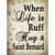 Hug A Saint Bernard Novelty Rectangle Sticker Decal