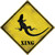 Lizard Xing Novelty Diamond Sticker Decal