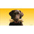 Chocolate Labrador Retriever Dog Novelty Sticker Decal