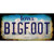 Bigfoot Iowa Novelty Sticker Decal