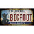 Bigfoot Oklahoma Novelty Sticker Decal