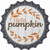 Hello Pumpkin Novelty Bottle Cap Sticker Decal