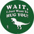Just Want To Hug You Novelty Circle Sticker Decal