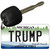 Trump Michigan Novelty Aluminum Key Chain KC-8219