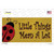 Little Things Mean A Lot Novelty Sticker Decal