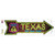 Texas Neon Novelty Arrow Sticker Decal