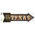 Texas Route 66 Bulb Letters Novelty Arrow Sticker Decal