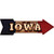 Iowa Bulb Lettering Novelty Arrow Sticker Decal