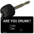 Are You Drunk Novelty Aluminum Key Chain KC-8275