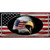 American Flag Eagle Novelty Sticker Decal