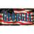 Georgia on American Flag Novelty Sticker Decal