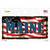 Maine on American Flag Novelty Sticker Decal
