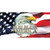 God Bless America Eagle Novelty Sticker Decal