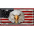 USA Eagle Metal Novelty License Plate