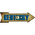 Kentucky Novelty Metal Arrow Sign