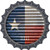 Texas Flag Corrugated Novelty Bottle Cap Sticker Decal