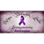 Leiomyosarcoma Cancer Ribbon Novelty Metal License Plate