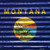 Montana Flag Corrugated Effect Novelty Square Sticker Decal