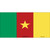 Cameroon Flag Novelty Sticker Decal