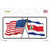 United States Costa Rica Crossed Flags Novelty Sticker Decal