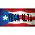 Vega Alta Puerto Rico Flag Novelty Sticker Decal