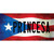 Princesa Puerto Rico Flag Novelty Sticker Decal