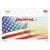 Louisiana with American Flag Novelty Sticker Decal