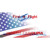 North Carolina with American Flag Novelty Sticker Decal