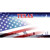 Texas with American Flag Novelty Sticker Decal