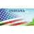 Indiana Bridge American Flag Novelty Sticker Decal