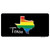 Texas Rainbow Novelty Sticker Decal