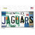 Jaguars Strip Art Novelty Sticker Decal