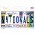 Nationals Strip Art Novelty Sticker Decal