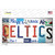 Celtics Strip Art Novelty Sticker Decal