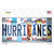 Hurricanes Strip Art Novelty Sticker Decal