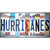 Hurricanes Strip Art Novelty Sticker Decal