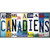 Canadiens Strip Art Novelty Sticker Decal