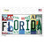 Florida Strip Art Novelty Sticker Decal