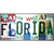 Florida Strip Art Novelty Sticker Decal